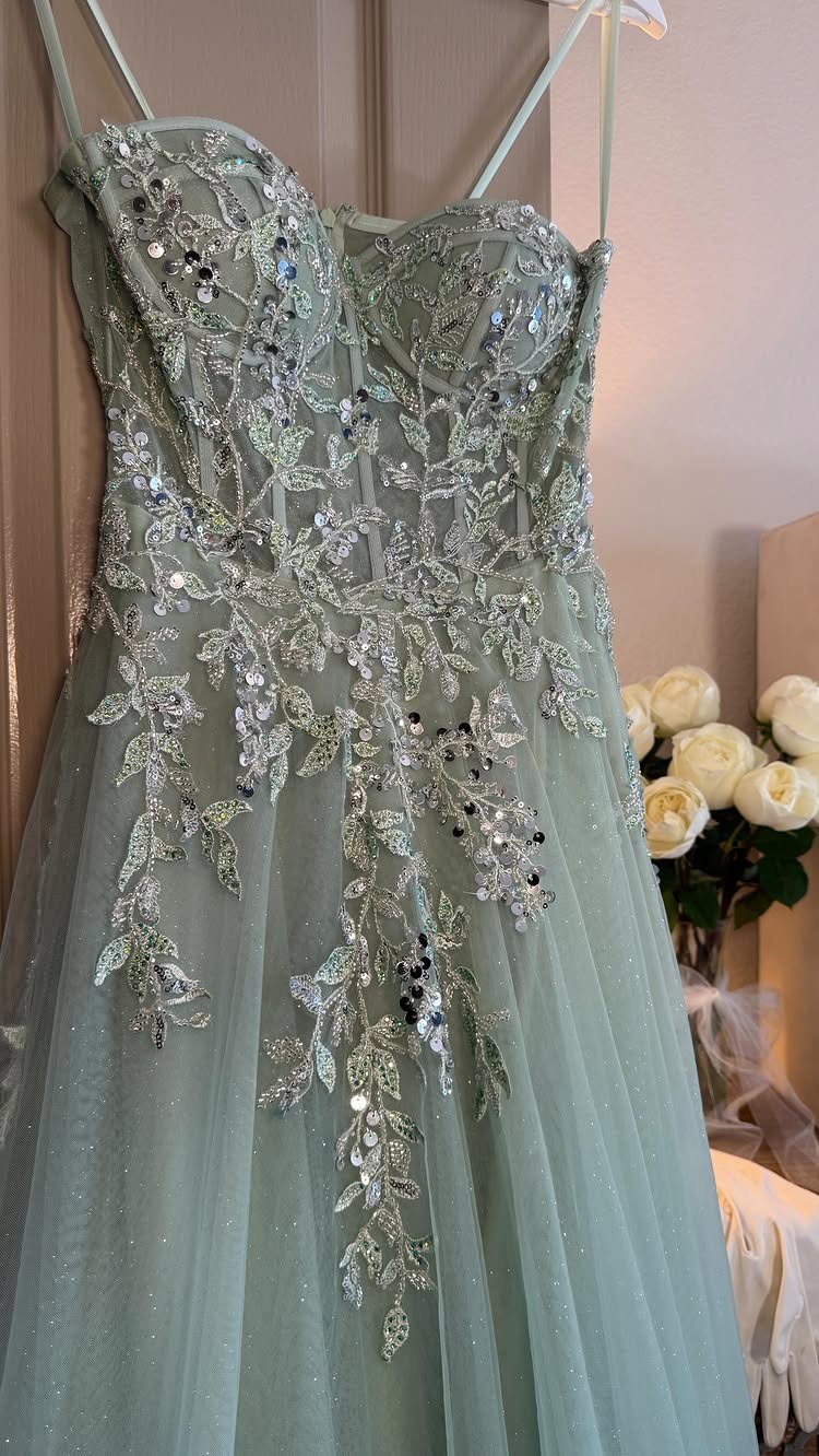 Sage green tulle gown with silver sequin floral appliqués hanging against a door.