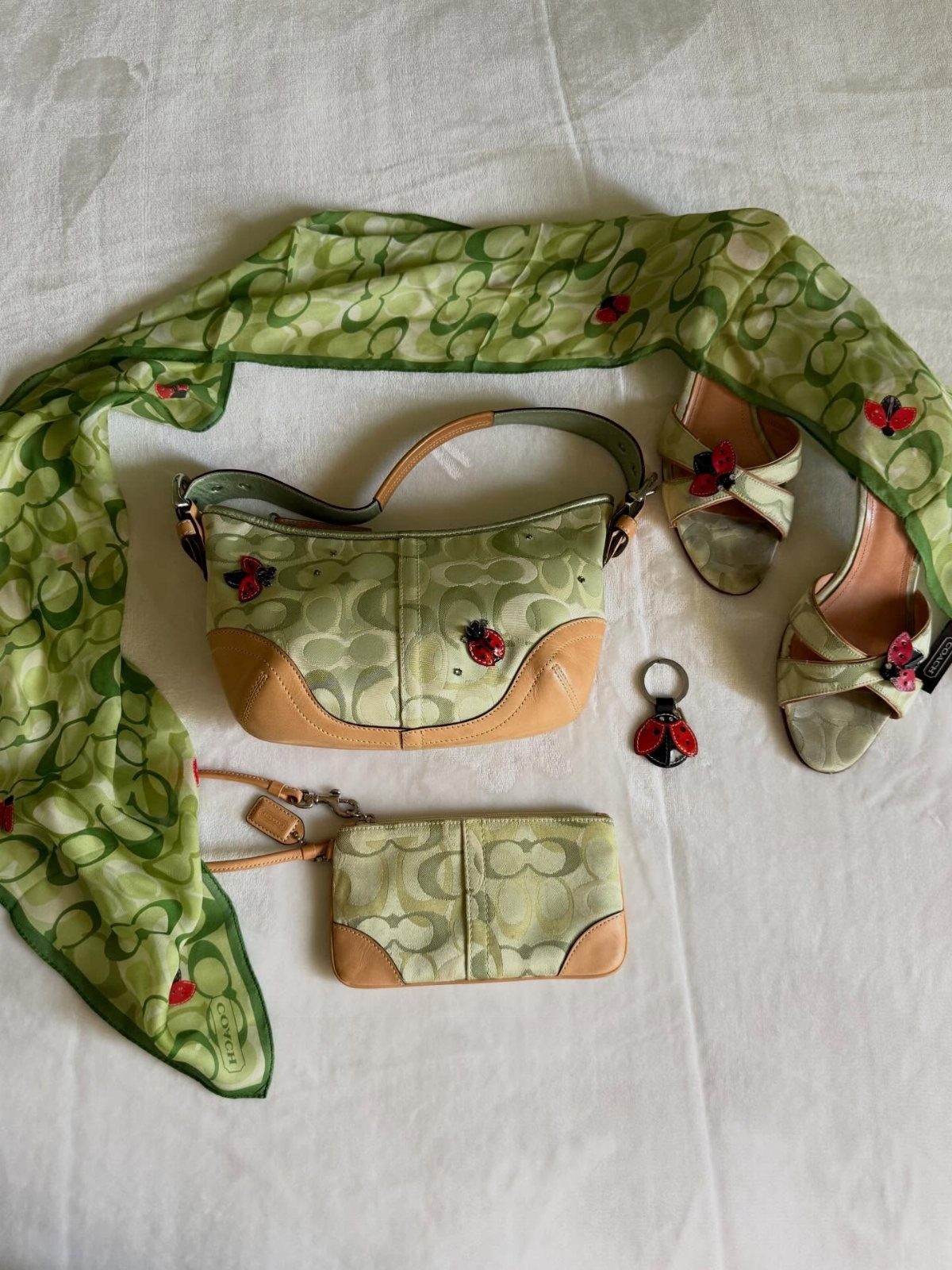 Ladybug Coach Heels: 4 Ideas for Green and Wedge Styles 3 Green Coach handbag, wallet, scarf, and high heels with ladybug accents on white fabric.