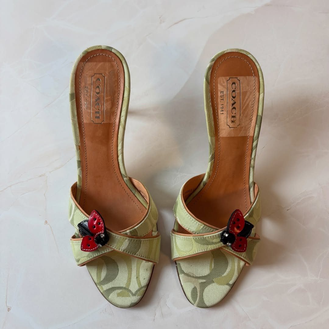 Ladybug Coach Heels: 4 Ideas for Green and Wedge Styles 1 Light green patterned fabric mule heels featuring red ladybug charms on the straps.