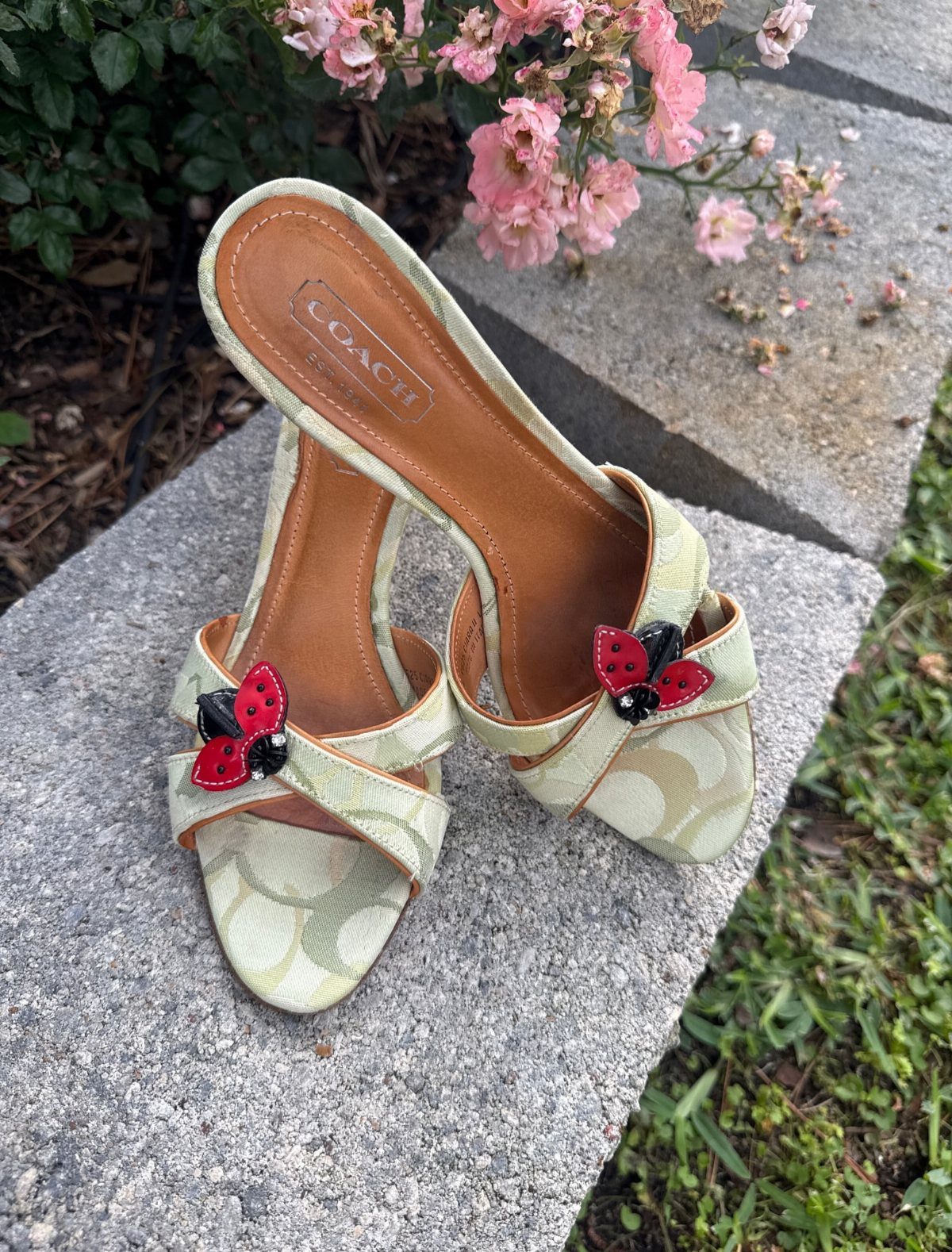 Ladybug Coach Heels: 4 Ideas for Green and Wedge Styles 4 Coach slide-on heels with signature pattern and red ladybug embellishments on stone surface